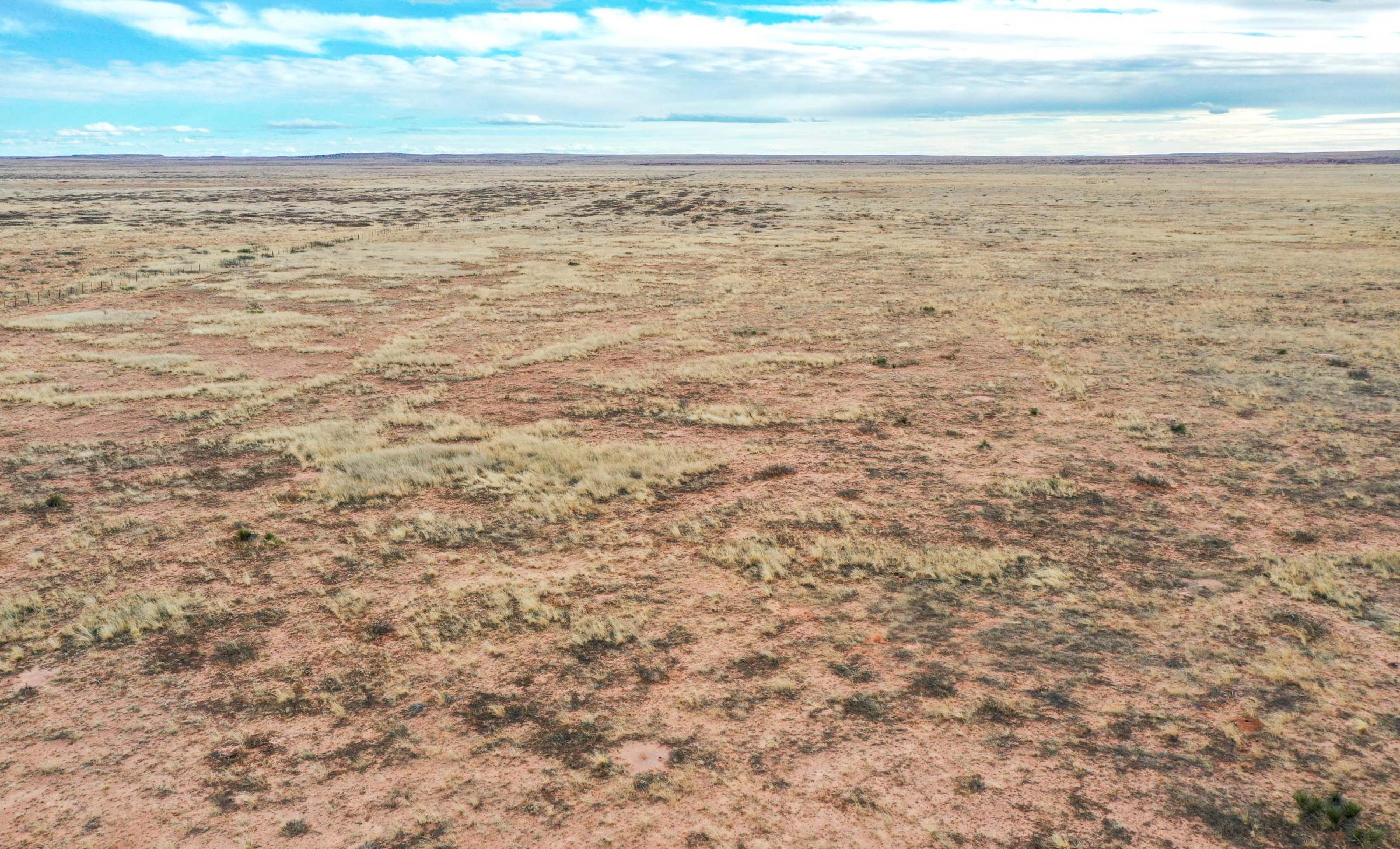 Pecos River Ranch Chas S. Middleton
